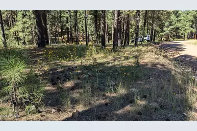 1878 Sheep Springs Road #427, Forest Lakes, AZ 85931 - Photo 7