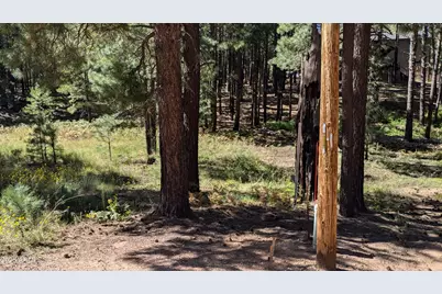 1878 Sheep Springs Road #427, Forest Lakes, AZ 85931 - Photo 19