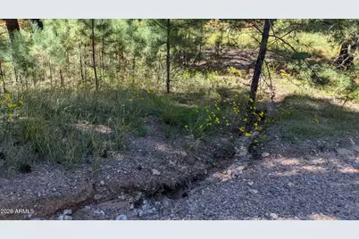 1878 Sheep Springs Road #427, Forest Lakes, AZ 85931 - Photo 21