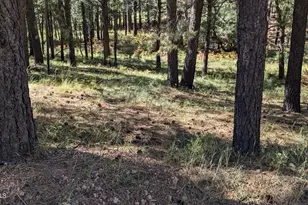 1878 Sheep Springs Rd, Forest Lakes, AZ 85931 - Photo 1