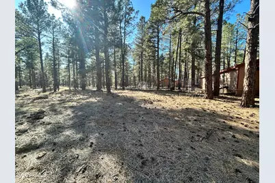 12808 E Crossbow Road, Parks, AZ 86018 - Photo 27