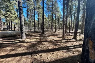 12808 E Crossbow Rd, Parks, AZ 86018 - Photo 23