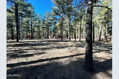 12808 E Crossbow Road, Parks, AZ 86018 - Photo 5