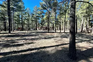 12808 E Crossbow Rd, Parks, AZ 86018 - Photo 5