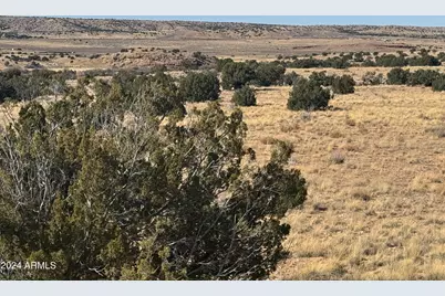 100 River Springs Ranch -- #100, Saint Johns, AZ 85936 - Photo 11
