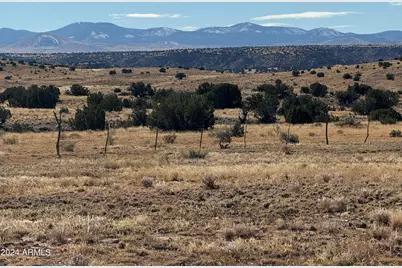 100 River Springs Ranch -- #100, Saint Johns, AZ 85936 - Photo 9