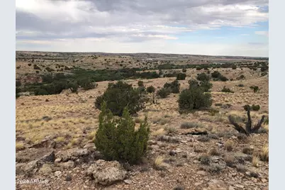 100 River Springs Ranch -- #100, Saint Johns, AZ 85936 - Photo 3