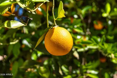 3126 E Gary Street, Mesa, AZ 85213 - Photo 23