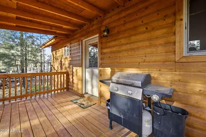 2900 Long Rifle Place, Overgaard, AZ 85933 - Photo 21