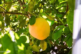 2482 W Arroyo Way, San Tan Valley, AZ 85144 - Photo 23