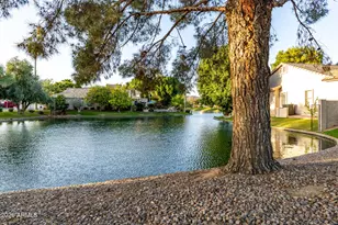 1272 W Lynx Way, Chandler, AZ 85248 - Photo 37