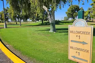 10207 W Palmer Dr, Sun City, AZ 85351 - Photo 21