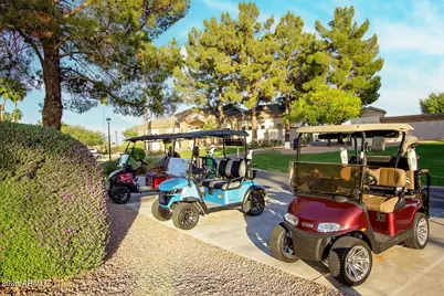 10305 E Sunburst Drive, Sun Lakes, AZ 85248 - Photo 29