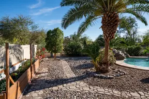 16729 E Stacey Rd, Queen Creek, AZ 85142 - Photo 89