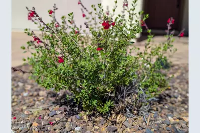 658 Brindle Drive, Clarkdale, AZ 86324 - Photo 51