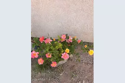 3821 E Keeling Road, Hereford, AZ 85615 - Photo 31