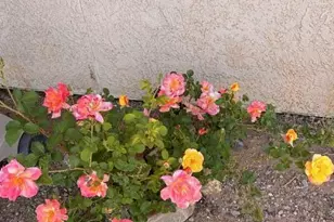 3821 E Keeling Rd, Hereford, AZ 85615 - Photo 31