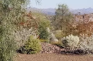 4023 Miners Gulch Wy, Wickenburg, AZ 85390 - Photo 29