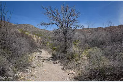 285 Ac E Calle 21 -- #-, Hereford, AZ 85615 - Photo 17
