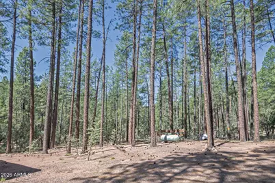 183 W Raven Road, Christopher Creek, AZ 85541 - Photo 25