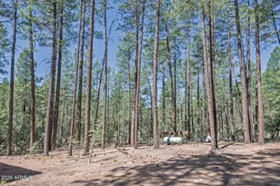 183 W Raven Rd, Christopher Creek, AZ 85541 - Photo 25