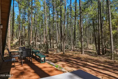 183 W Raven Road, Christopher Creek, AZ 85541 - Photo 63