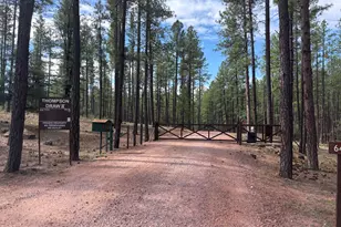 183 W Raven Rd, Christopher Creek, AZ 85541 - Photo 19