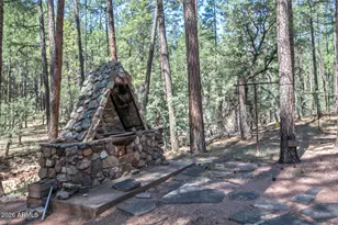 183 W Raven Rd, Christopher Creek, AZ 85541 - Photo 21