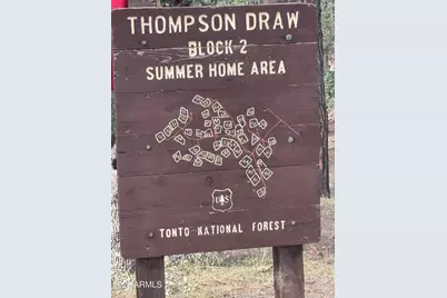 183 W Raven Road, Christopher Creek, AZ 85541 - Photo 61