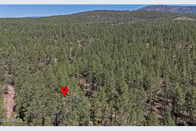 183 W Raven Road, Christopher Creek, AZ 85541 - Photo 59