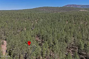 183 W Raven Rd, Christopher Creek, AZ 85541 - Photo 59