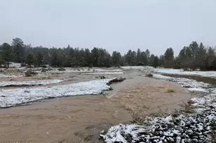 1884 E Artist Draw Rd, Heber, AZ 85928 - Photo 15