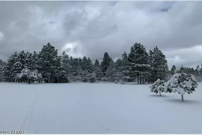 1884 E Artist Draw Road, Heber, AZ 85928 - Photo 11