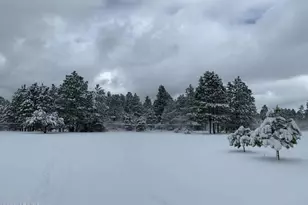 1884 E Artist Draw Rd, Heber, AZ 85928 - Photo 11