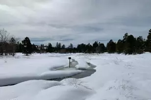 1884 E Artist Draw Rd, Heber, AZ 85928 - Photo 13