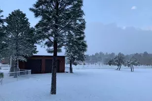 1884 E Artist Draw Rd, Heber, AZ 85928 - Photo 7