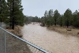 1884 E Artist Draw Rd, Heber, AZ 85928 - Photo 17