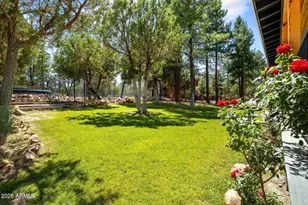 1459 Low Mountain Trail, Heber, AZ 85928 - Photo 11