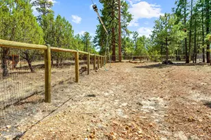 1459 Low Mountain Trail, Heber, AZ 85928 - Photo 81