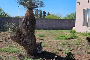 4105 N Washington Ave, Douglas, AZ 85607 - Photo 31