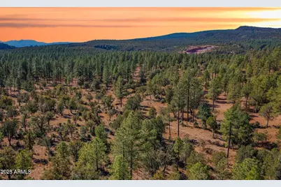 0000 Fawn #4 Drive, Pine, AZ 85544 - Photo 3