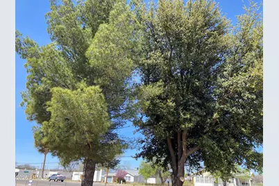 39 W Patton Street #-, Saint David, AZ 85630 - Photo 9