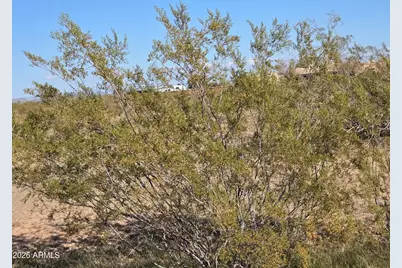 19300 W Roadrunner Road #-, Wittmann, AZ 85361 - Photo 31