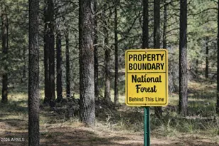 292 S Squirrels Nest Ln, Payson, AZ 85541 - Photo 1