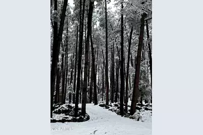 292 S Squirrels Nest Lane #11, Payson, AZ 85541 - Photo 7