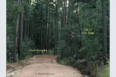 292 S Squirrels Nest Lane #11, Payson, AZ 85541 - Photo 5