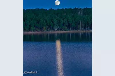 2970 W Villa Loop, Show Low, AZ 85901 - Photo 35