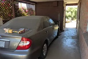 7004 N 15th St, Phoenix, AZ 85020 - Photo 21