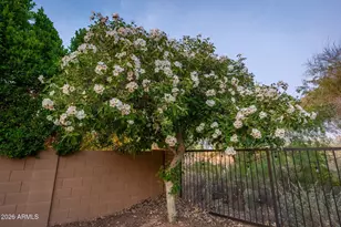 29051 N 122nd Dr, Peoria, AZ 85383 - Photo 55