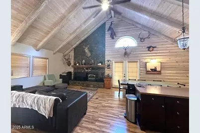 207 Blue Ridge Road, Mormon Lake, AZ 86038 - Photo 11